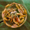 Completo Betulla - immagine 6
